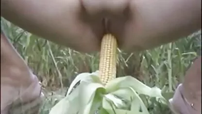 ねじ妻ください セックス 動画 外国